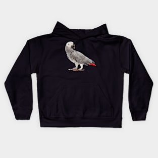 African Grey Parrot Birdss Kids Hoodie